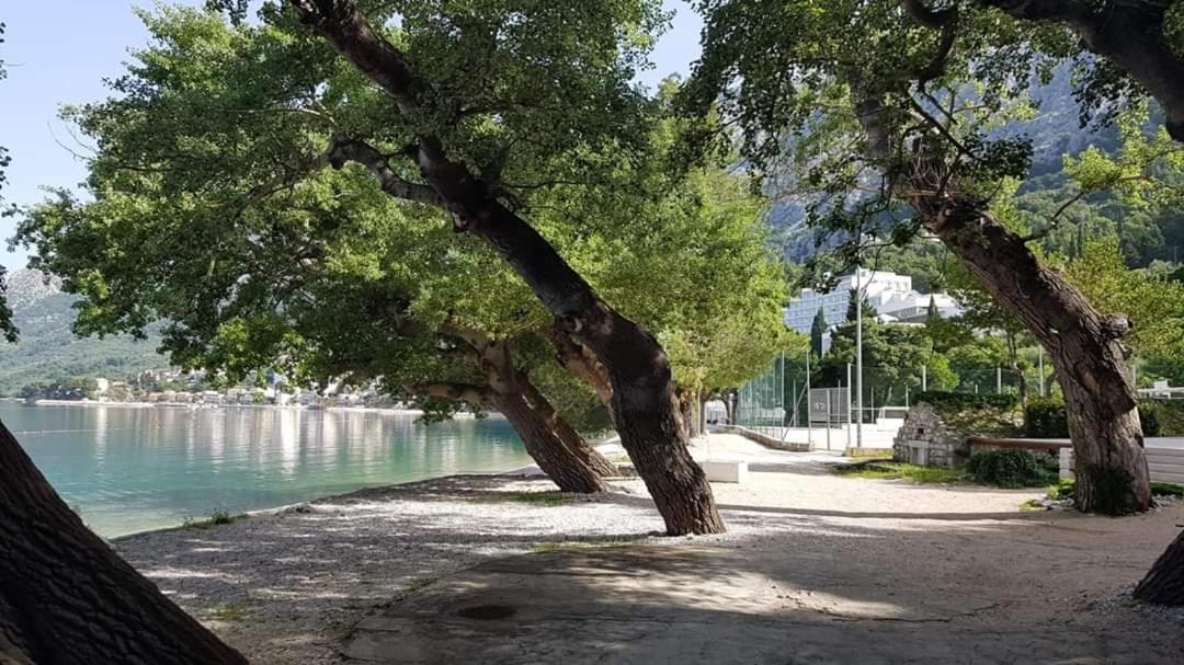 Apartmants Villa Lungo Mare Zivogosce Bagian luar foto